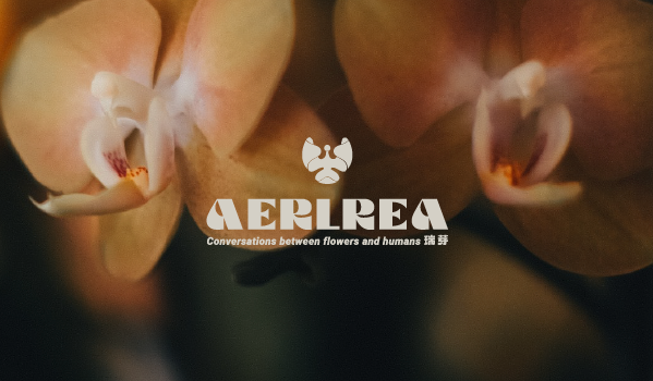 AERLERA瑞芽國際蘭花平台｜與花交流，與⾝俱來的純粹美好