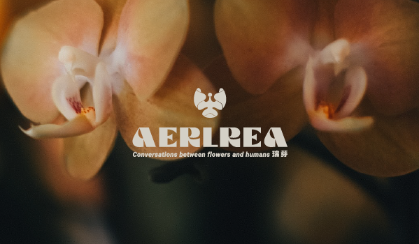 AERLERA 瑞芽 國際蘭花平台