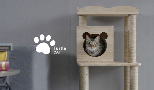 Turtle Cat ｜手工實木貓跳台